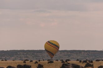 Serengeti National Park