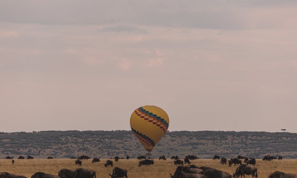 Serengeti National Park